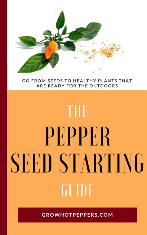 Overwintering Pepper Plants Save Plants For Next Year Grow