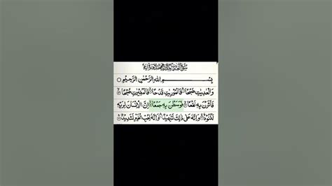 Surah Al Adiyat Recitation Mishary Al Afasy Arabic Text سورة العاديات Surahadiyat Quran