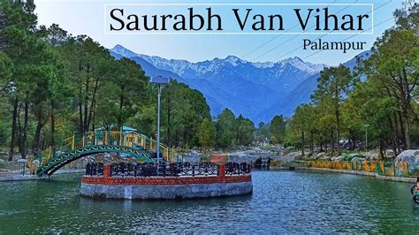 Saurabh Van Vihar Palampur Himachal Pradesh Neugal Khad Best Place