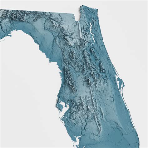 Florida Shaded Relief Map Natural Topographic Etsy