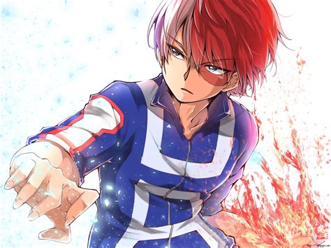 Academia Shoto Todoroki Half Cold Half Hot K