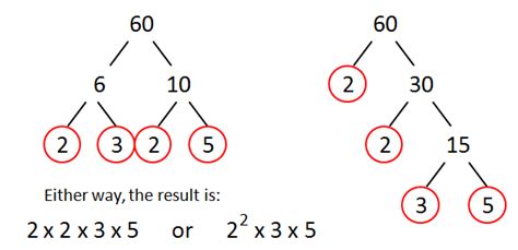 Prime Factors Calculation List Examples I Sarthaks Econnect