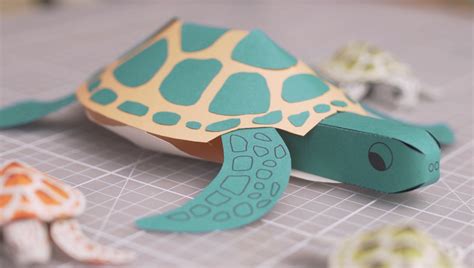 Craft Activity Paper Turtle Sam Pierpoint