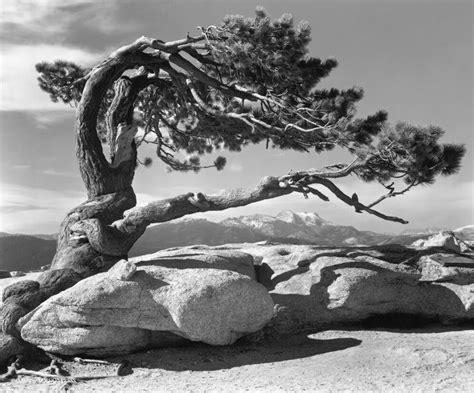 Ansel Adams Beauty And The Zone System By Patricechesse On Deviantart