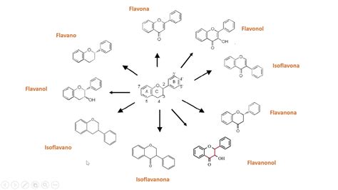 Nomenclatura De Flavonoides YouTube