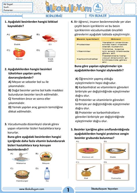 4 Sınıf Fen Bilimleri Besinlerimiz Dosyaları