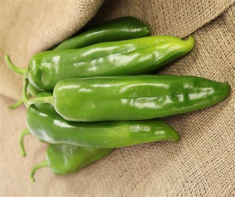 Charger Anaheim Pepper Treated Seed Seedway