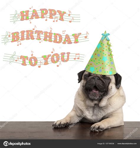 Dogs Singing Happy Birthday Card - Get More Anythink's