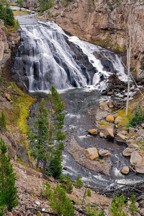 View Of Gibbon Falls In Yellowstone National Park 10718941 Stock Photo