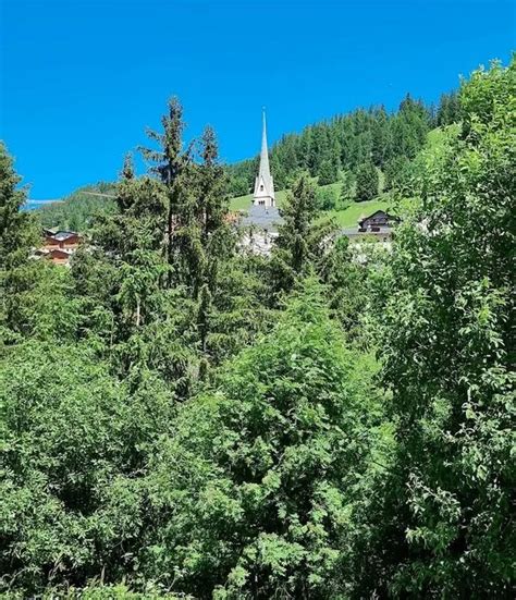 Walk With Alpacas In Val Gardena South Tyrol Holidoit