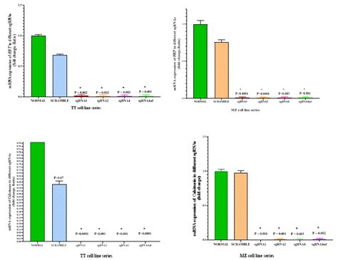 RET Top And Calcitonin Bottom Gene Expression In TT And MZ CRC1