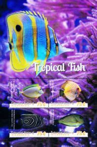 Stamp Tropical Fish Micronesia Federated States Of Tropical Fish Mi