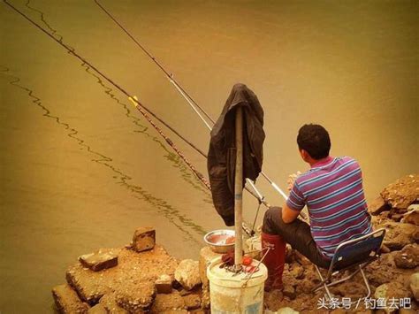 釣魚先誘魚，適魚情而定，制定不同的誘釣方法 每日頭條