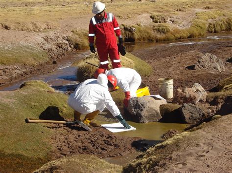 Grupoartema EvaluaciÓn De Impacto Ambiental