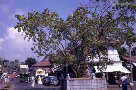 Panadura to Ratnapura Road, Sri Lanka 1962 – Lankapura