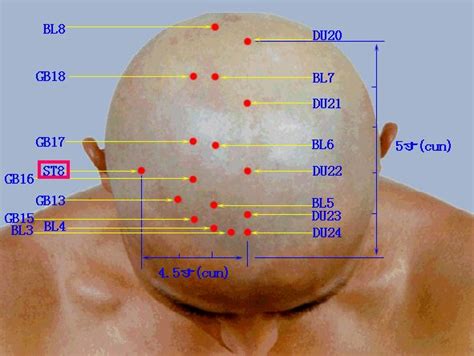 Acupuncture Points On The Top Of The Head Acupuncture Points