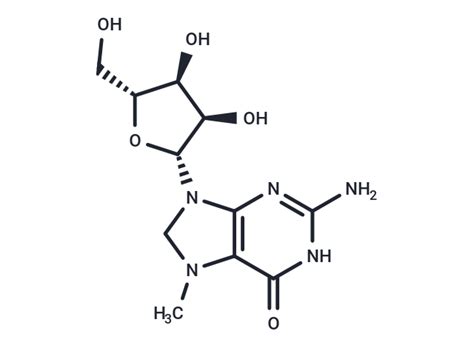 7 Methylguanosine Endogenous Metabolite Targetmol