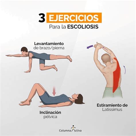 4 Ejercicios Y Estiramientos Para La Tendinitis Rotuliana O Del