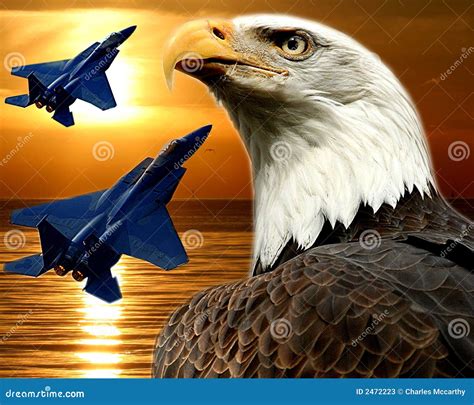 F-15 Falcon and Bald Eagle stock illustration. Illustration of ...