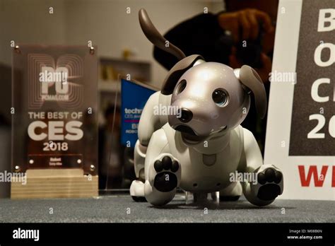 Sonys New Cute Adorable And Expensive Aibo Robot Dog Showcased At