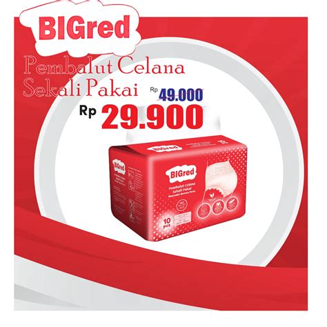 Jual Bigred Pembalut Celana Sekali Pakai Untuk Wanita Menstruasi Datang