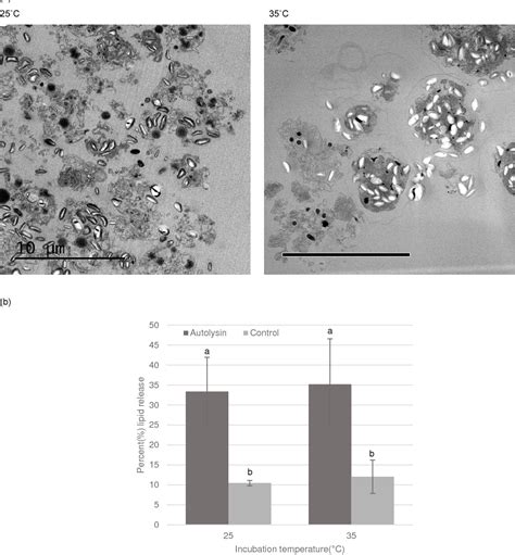 Figure 11 From Aqueous Enzymatic Extraction Of Protein And Lipid From