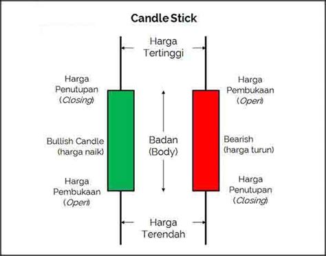 Baru Cara Membaca Candlestick Menit Agar Selalu Profit