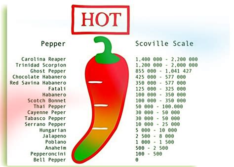 Chillibom Scoville Scale A2 Glossy Poster Ubicaciondepersonascdmxgobmx