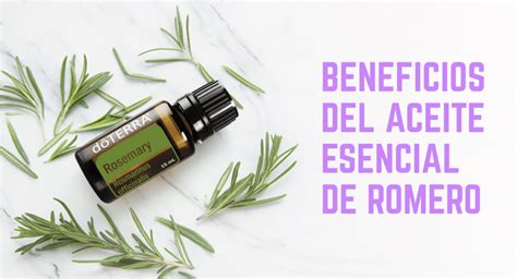 Aceite Esencial De Romero Beneficios Forma De Uso E Historia