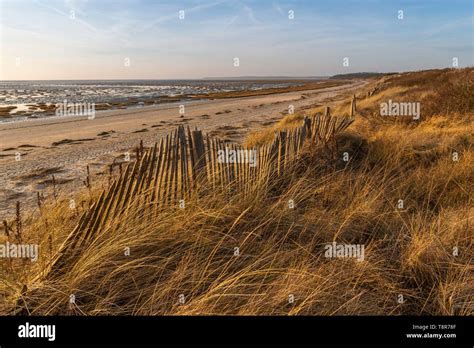 Frankreich Somme Baie De Somme Le Crotoy Crotoy Strand Und Der Baie