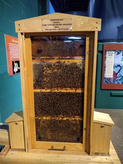 McKinley Museum donors step up for new hive after bees poisoned