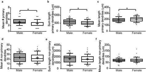 In Vivo And In Vitro Sex Differences In The Dendritic Morphology Of