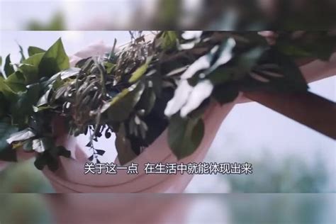 为什么现在的男生都不想结婚？看看美女怎么说，网友：明白人！