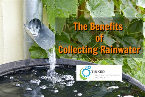 The Benefits Of Collecting Rainwater Tinker