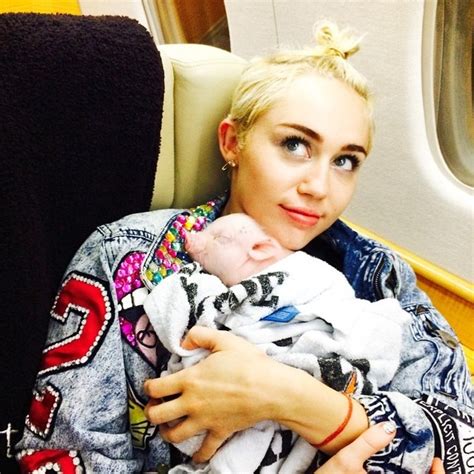 EGO Oi Miley Cyrus dá selinho em porco notícias de Bichos