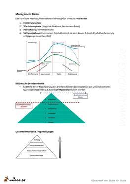 Zusammenfassung Management Basics