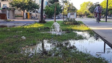 Importante pérdida de agua en el cantero central de Avenida Freyre