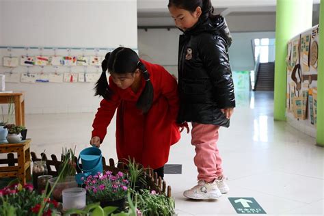 节水护水，童心呵护——暨南街道街亭幼儿园开展“世界水日”主题活动