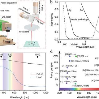 Ligbased Flexible Physical Sensors A Schematic For The Fabrication