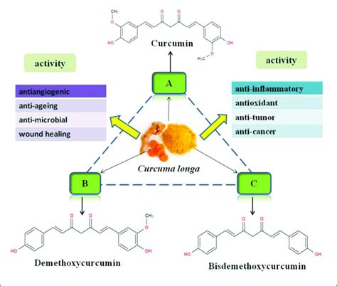 Chemical Structures Of Curcuminoids And Their Main Biological