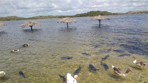 Lagoa Dos Tambaquis Aracaju Atualizado O Que Saber Antes De Ir