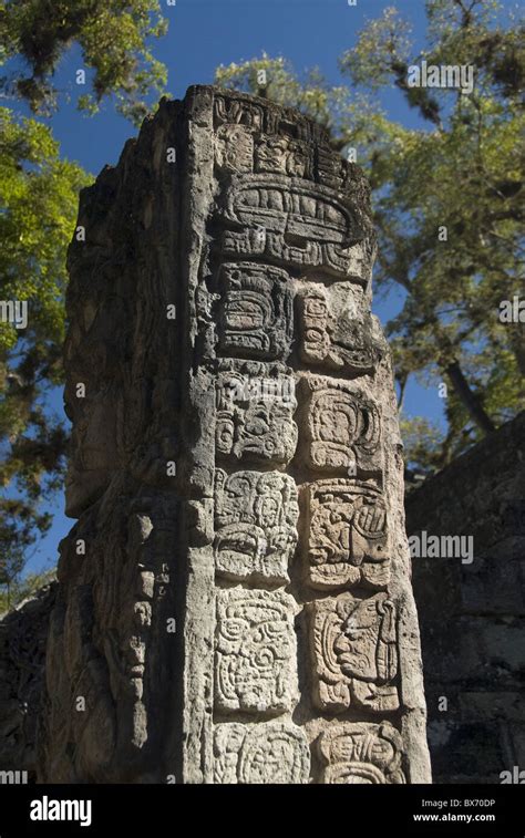 Glifos Mayas En El Lado De La Estela P Corte Occidental El Parque