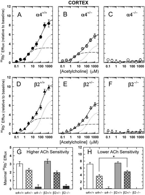 ACh Stimulation Of 86 Rb Efflux From Cortical Synaptosomes Crude