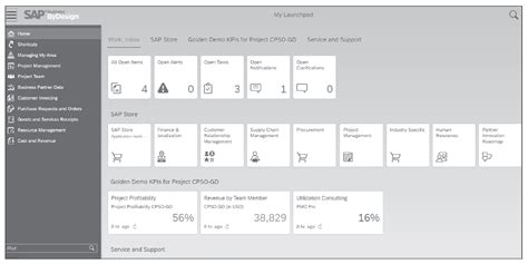 Getting Started In Sap Business Bydesign