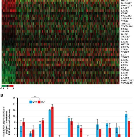 Heat Map Showing The Relative Mrna Expression Levels Of The