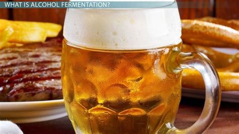 Alcoholic Fermentation | Definition, Equation & Process - Lesson | Study.com