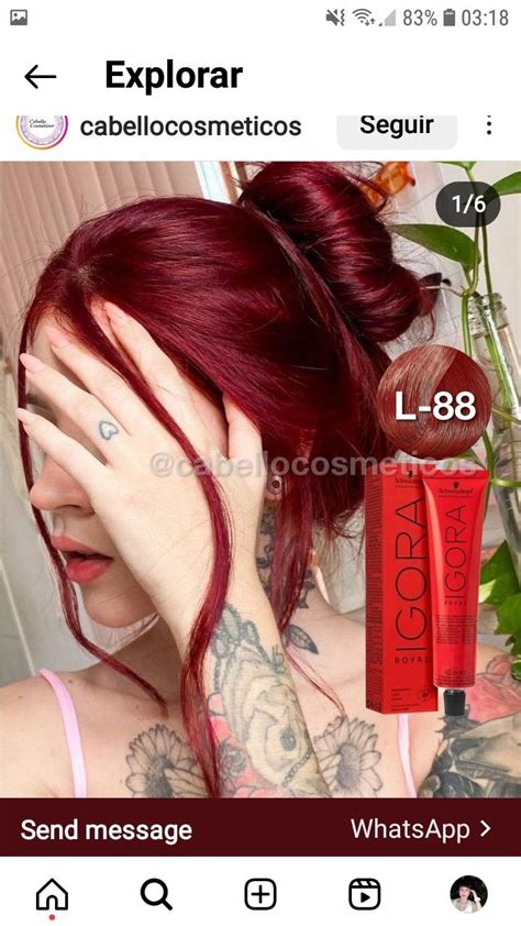 Pelo Color Vino Wine Hair Color Cherry Red Hair Ribbon Hairstyle