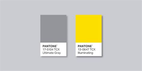 Grey Colour Pantone 70 Photo