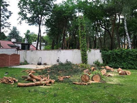 Wycinka drzew rębak pielęgnacja ogrodu koszenie traw frezowanie pni