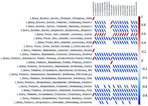 Heat Map Showing The Spearman Correlation Of The Top 20 Differential Download Scientific